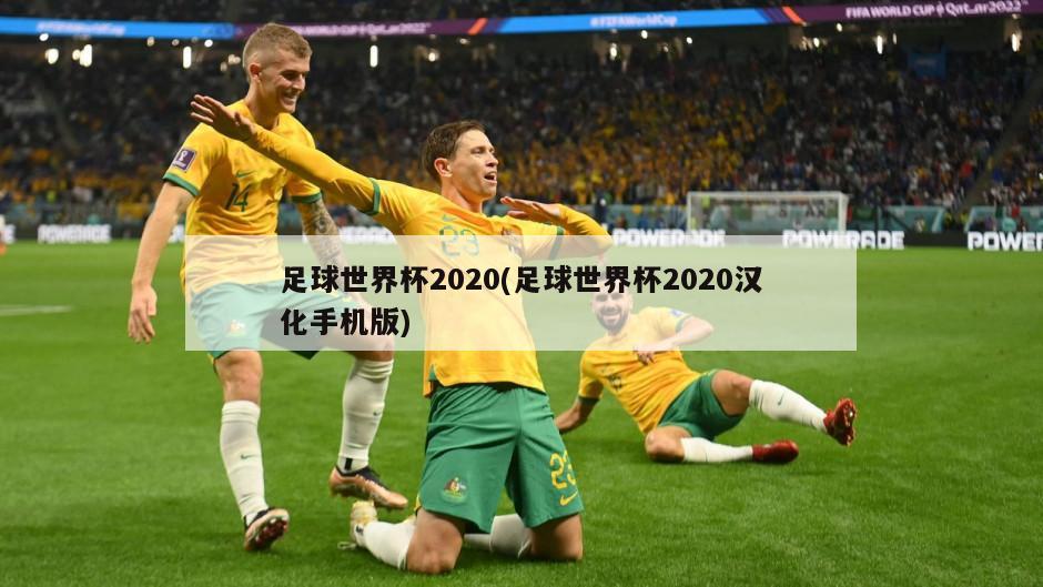 足球世界杯2020(足球世界杯2020汉化手机版)