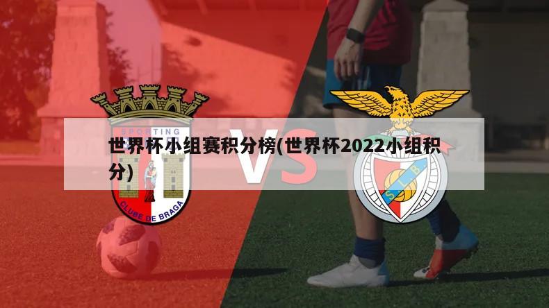 世界杯小组赛积分榜(世界杯2022小组积分)