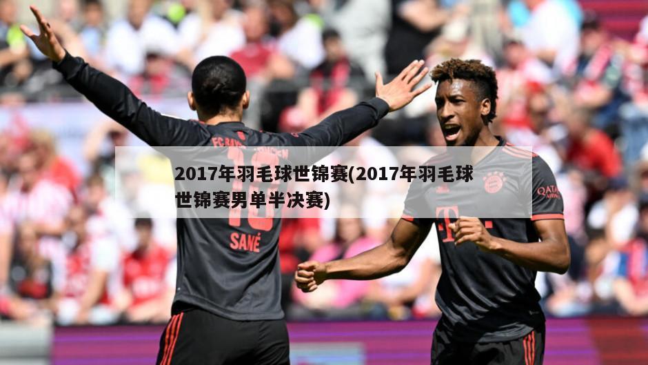 2017年羽毛球世锦赛(2017年羽毛球世锦赛男单半决赛)