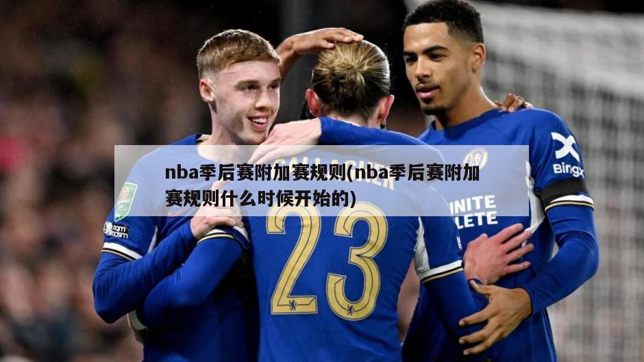 nba季后赛附加赛规则(nba季后赛附加赛规则什么时候开始的)