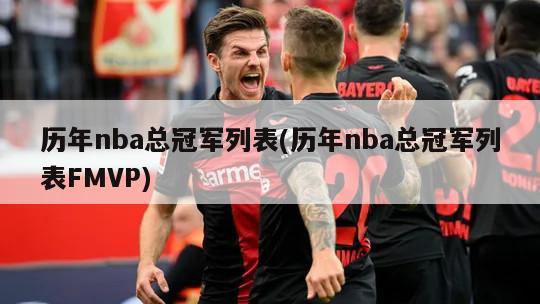 历年nba总冠军列表(历年nba总冠军列表FMVP)