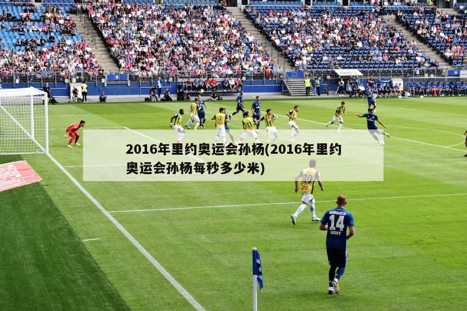 2016年里约奥运会孙杨(2016年里约奥运会孙杨每秒多少米)