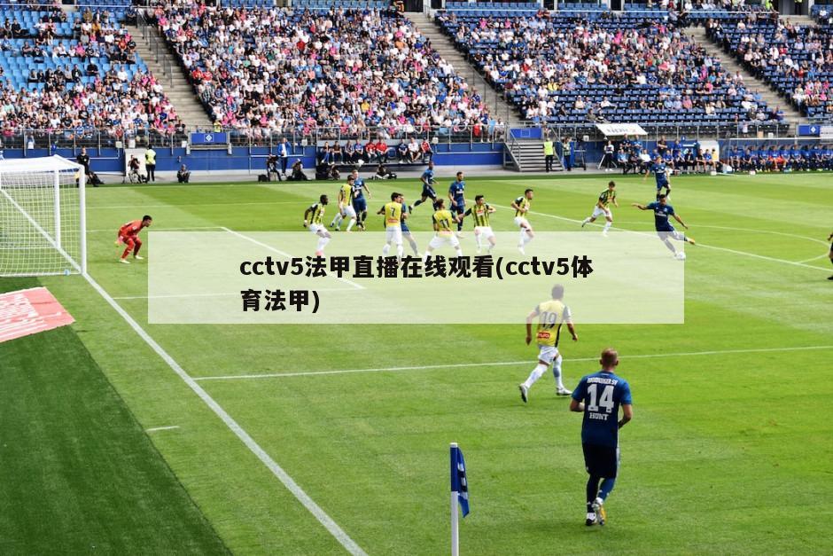 cctv5法甲直播在线观看(cctv5体育法甲)