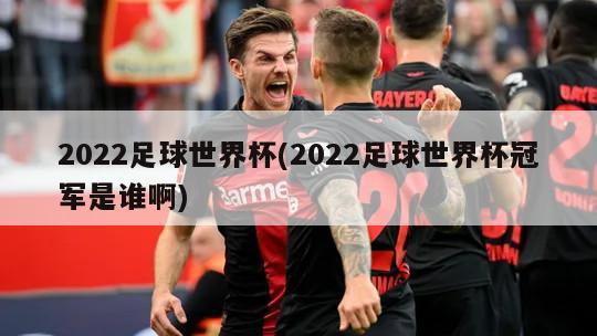 2022足球世界杯(2022足球世界杯冠军是谁啊)