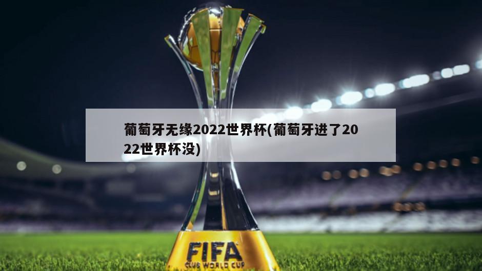 葡萄牙无缘2022世界杯(葡萄牙进了2022世界杯没)